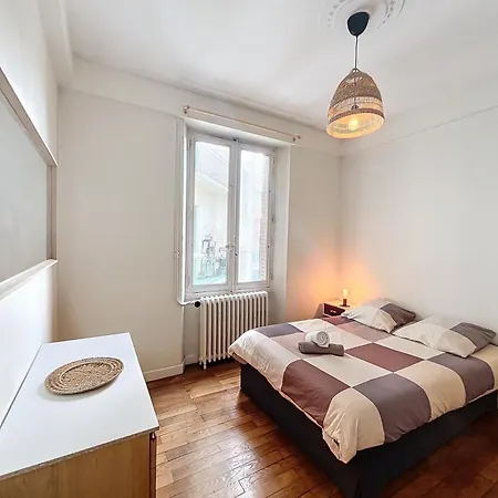 Appart De L'Ile, 55M2 Fibre Grenoble Exterior photo